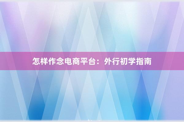 怎样作念电商平台：外行初学指南