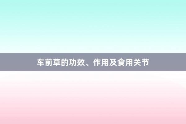 车前草的功效、作用及食用关节