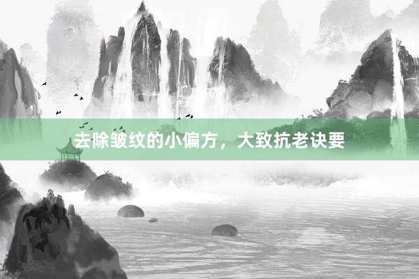 去除皱纹的小偏方，大致抗老诀要