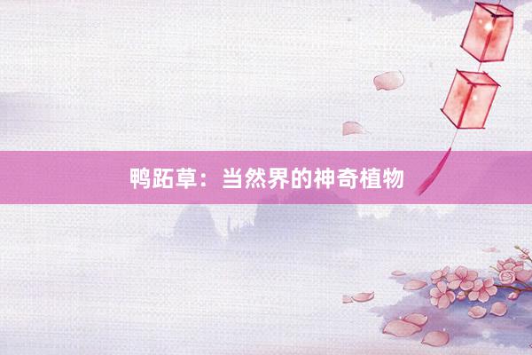 鸭跖草：当然界的神奇植物