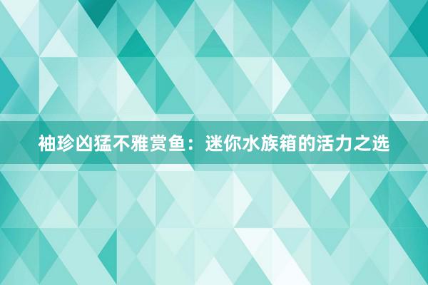 袖珍凶猛不雅赏鱼：迷你水族箱的活力之选